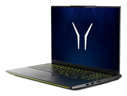 ERAZER Beast 16 X10 (MD 600093) UK Intel Core Ultra 9 290HX Plus Laptop 40.6 cm (16") Quad HD+ 64 GB DDR5-SDRAM 2 TB SSD NVIDIA GeForce RTX 5090 Wi-Fi 7 (802.11be) Windows 11 Home Black