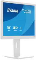 iiyama ProLite B1980S-W1 computer monitor 48.3 cm (19") 1280 x 1024 pixels SVGA LED White