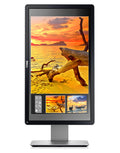 DELL Professional P2014H computer monitor 49.5 cm (19.5") 1600 x 900 pixels LED Black, Silver