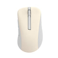 ASUS Wireless MD102 mouse Universal Right-hand RF Wireless + Bluetooth Optical 1600 DPI